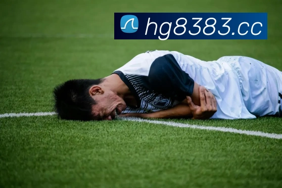 多彩内容专区